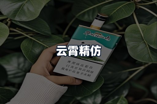 云霄精仿